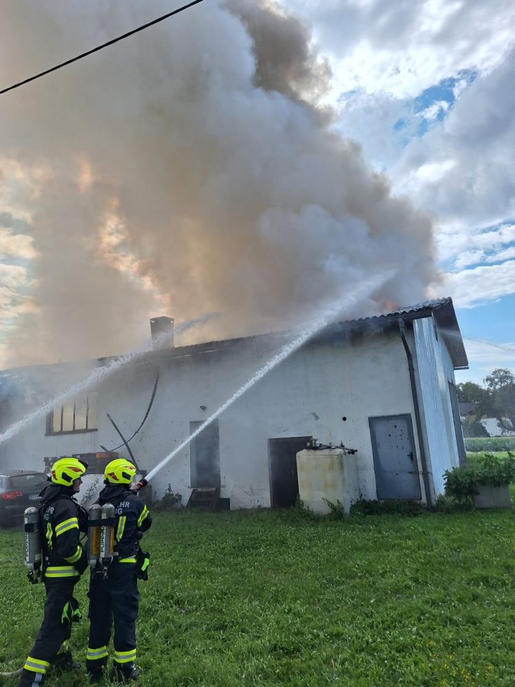 2025_07_17_Brand (09)