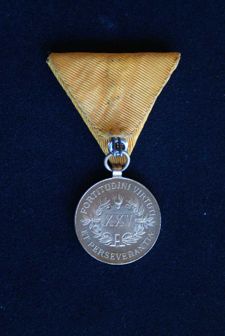 1905 DM 25 Jahre revers