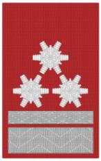 DG HBM d.F. braun 1