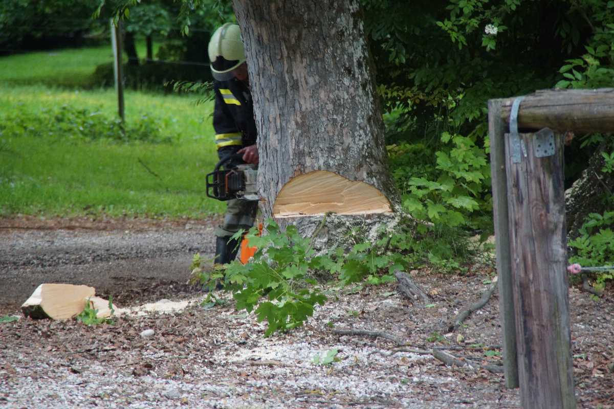 2013 05 21 Uebung (46)