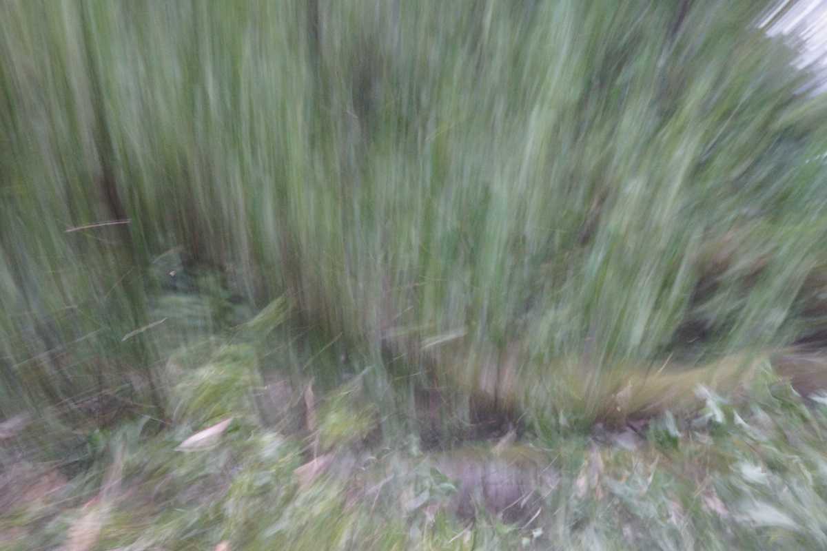 2013 05 21 Uebung (49)